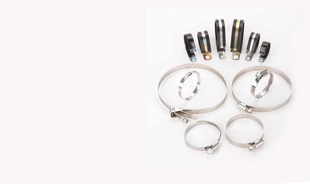 Fibulae